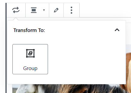 Options to transform the Instagram block to Group.