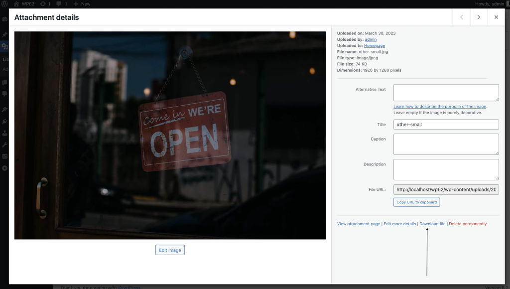 Attachment details for individual item showing the download file link
