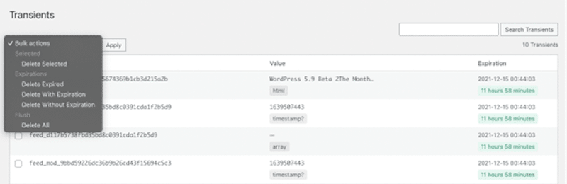 Transients Management – Source: Transients Manager plugin