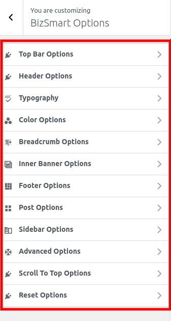 BizSmart Pro Options