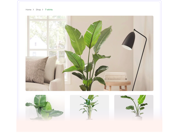 Gallery Options New Pro