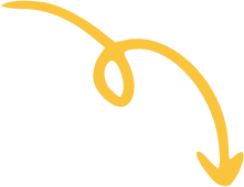 WP CV Builder- White Label Resume builder 15 Vector