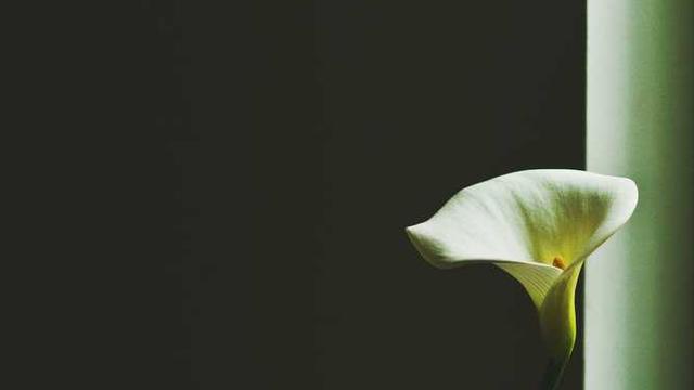 Enterprise-wide uniform structure