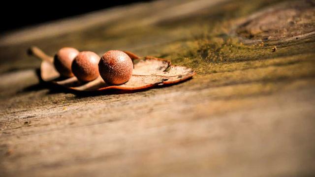Mrs. Zella Harber Dissects Rail Yard Engineer