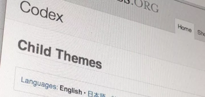 wordpress theme enfant wordpress-theme enfant