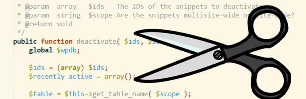 code snippet plugin Code Snippet permet de se passer d'un Thème Enfant