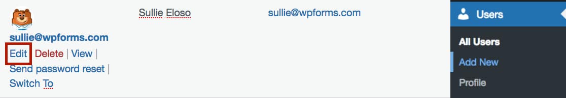 User Email Update - WPForms Benutzer bearbeiten