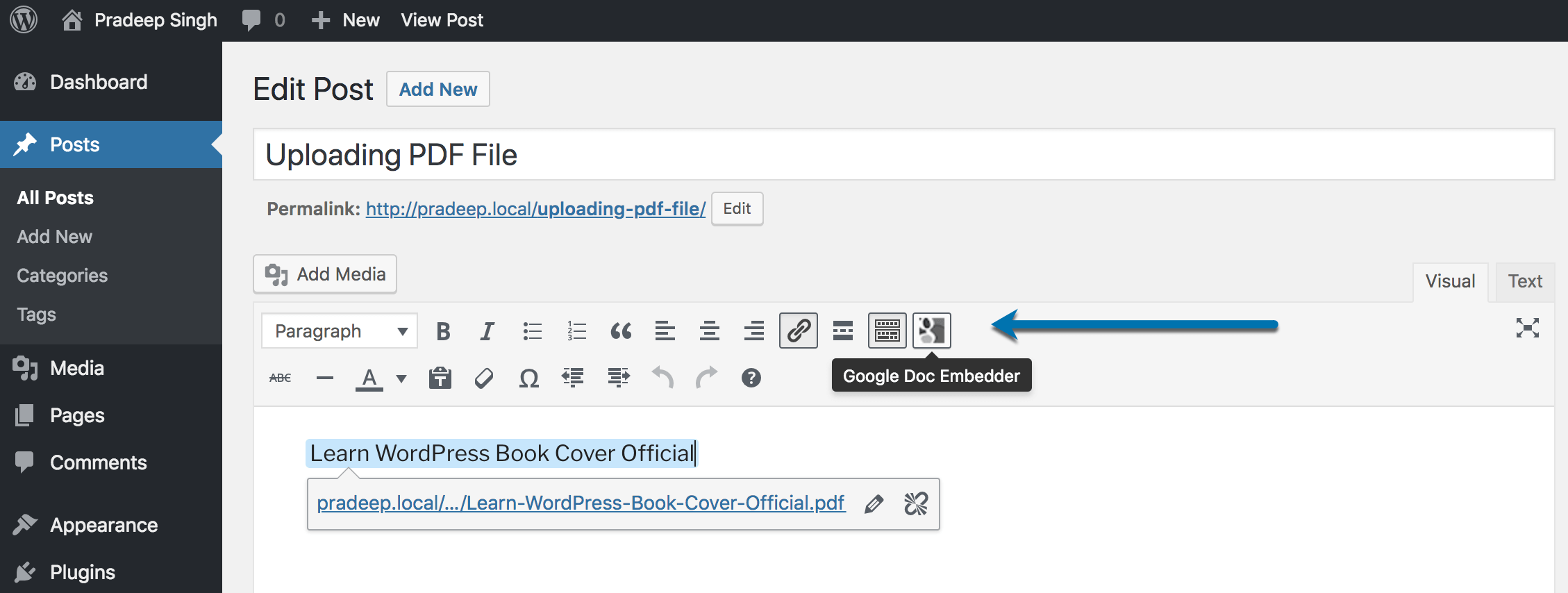 How to Upload and Embed PDF files in WordPress – 2026 Guide 23 Google Doc Embedder Plugin sortcode Button