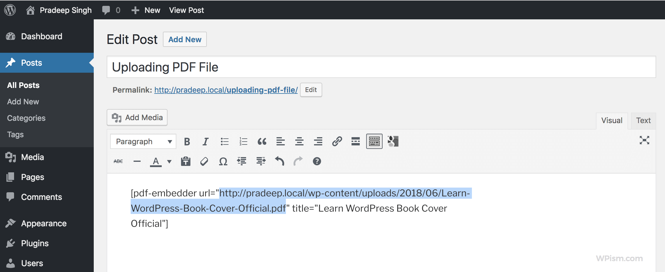 How to Upload and Embed PDF files in WordPress – 2026 Guide 13 embed PDF File WordPress shortcode