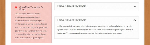 Elegant Themes' Page Builder Toggle Options
