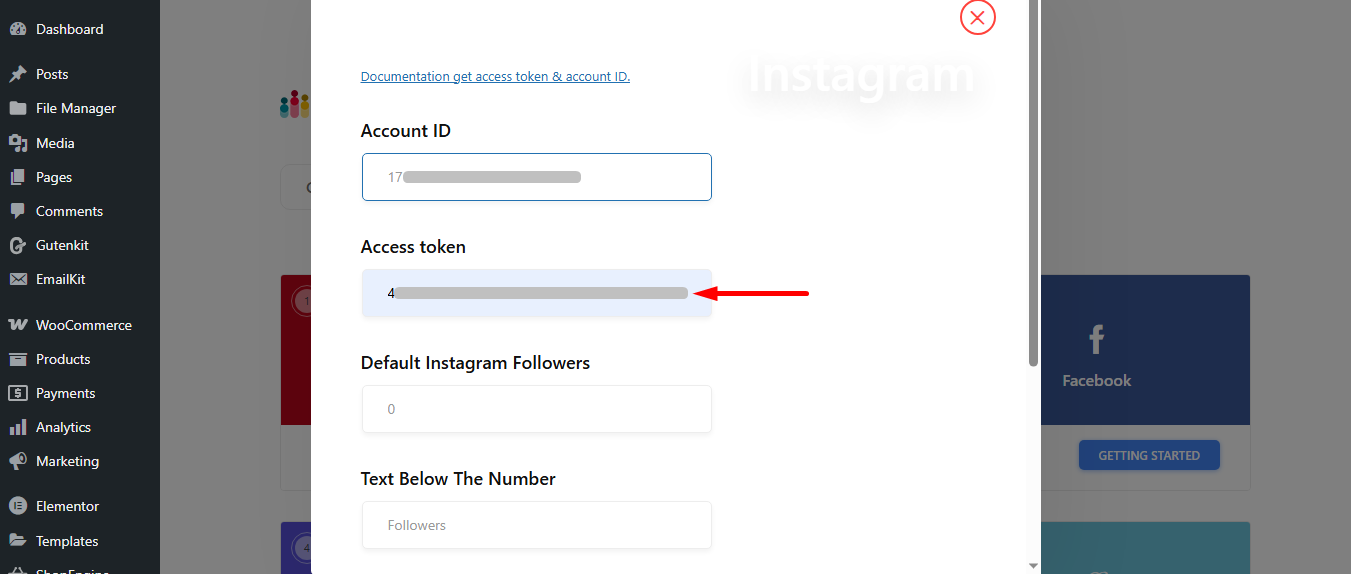 Insert the copied access token in the field