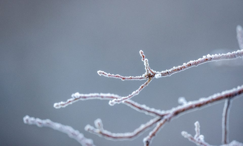 New Proposal Seeks to Update WordPress Release Process for Merging Gutenberg Features After Beta 1 Feature Freeze