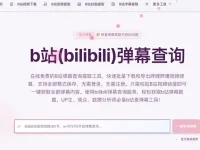 Bibz:B站弹幕查询工具,轻松获取和分析B站弹幕数据