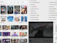 wiliwili:第三方B站客户端,支持多平台