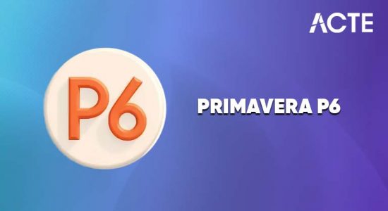 Primavera P6 Training Course