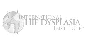 logo-hip-disp
