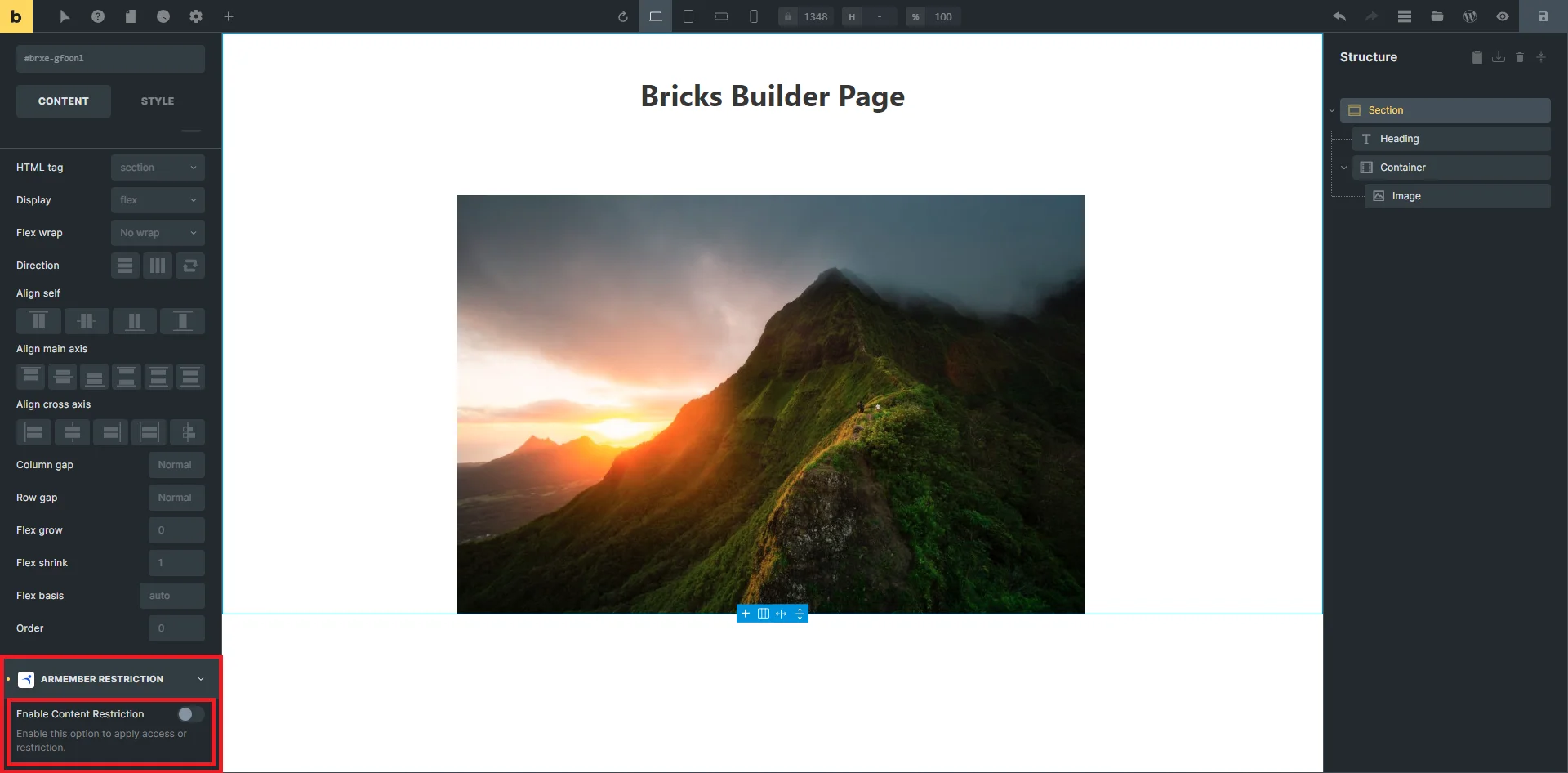 Bricks Page Builder Settings tab