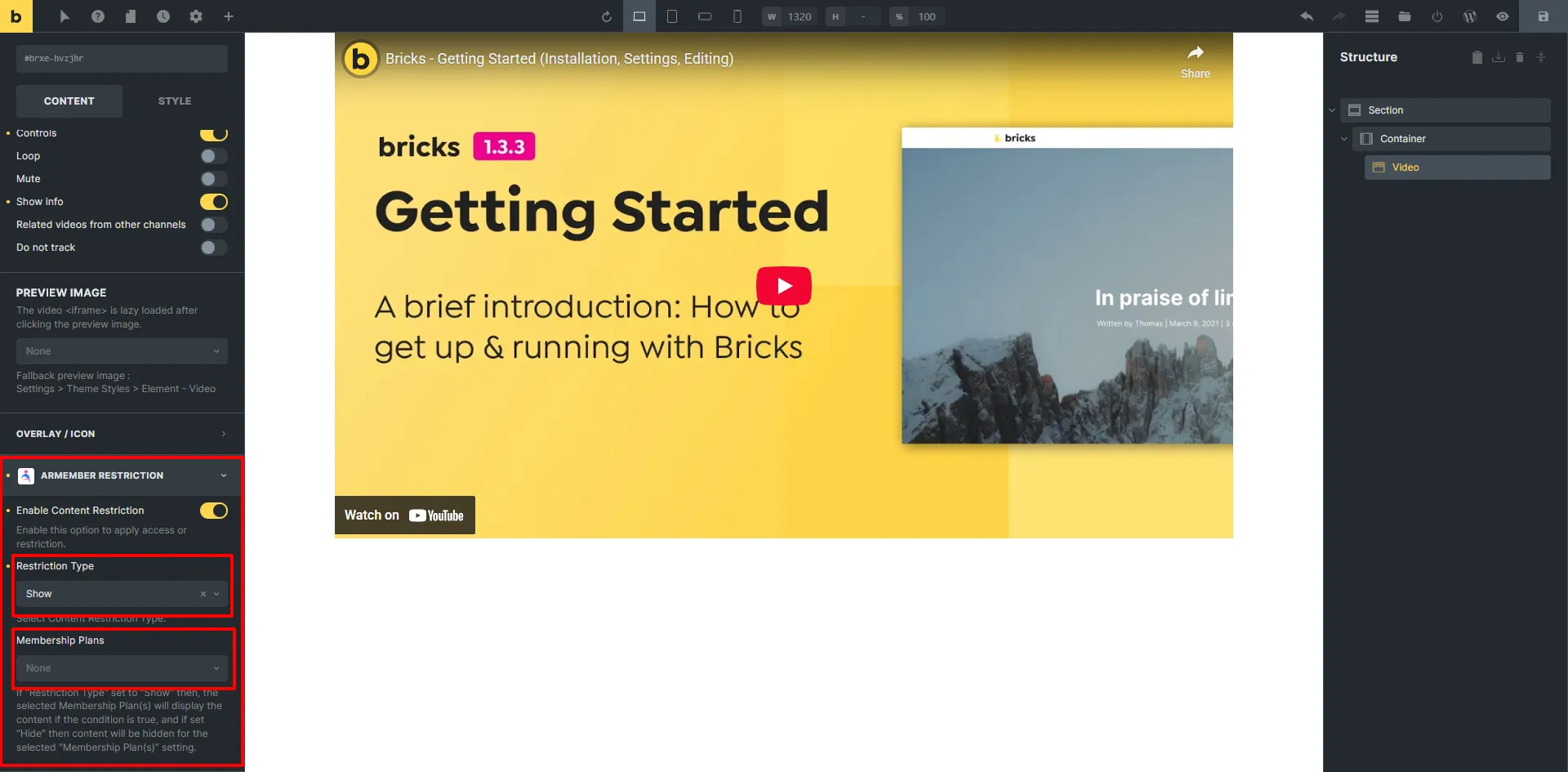 Bricks Page Builder Restriction Settings