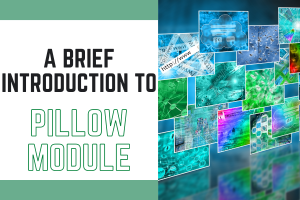 Featured Img Pillow Module