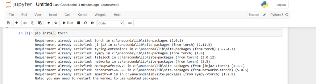 Torch Package Installation