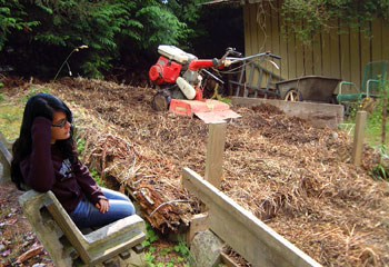 what items can be composted what items can be composted