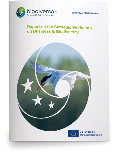 D3.6_Strategic-Workshop-Business_cover