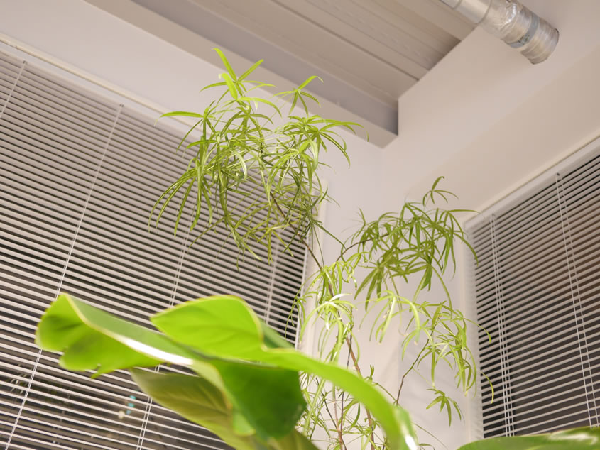 ギャラリー06:ビル