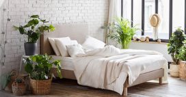 Ma chambre sans toxiques Ma chambre sans toxiques