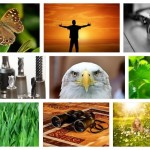 Google Images Style Thumbnail Grid with Pure JavaScript – FlexImages