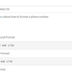 JavaScript Library For Parsing, Formatting and Validating Phone Numbers – front.phone