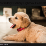 Mobile-compatible Responsive Gallery – HesGallery