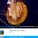 Dynamic Video Playlist Player In JavaScript