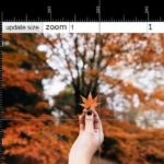 Photoshop-like Ruler Using JavaScript And SVG – Rulez.js