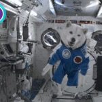 Accessible GIF Image Player In Vanilla JavaScript – Gifa11y