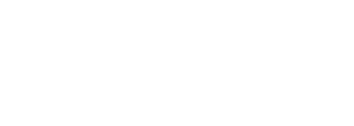 Scheneider Scheneider