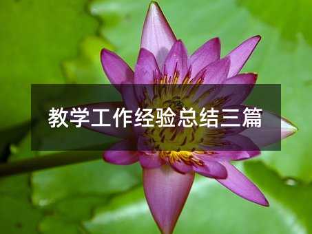 ½Ìѧ¹¤×÷¾Ñé×ܽáÈýƪ