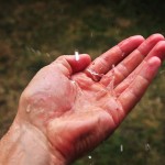 Clean rainwater falling on open hand representing safe drinking water quality and natural water resources