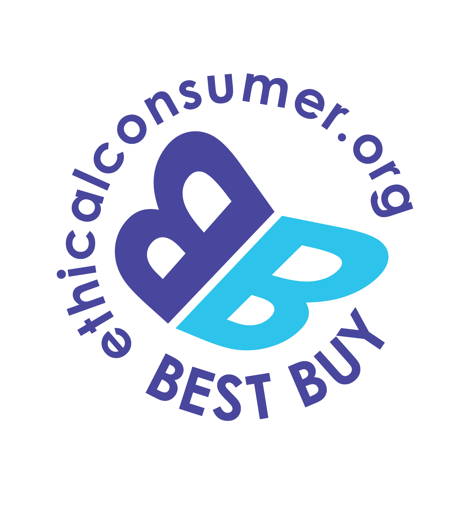 Bestbuy with website 2013