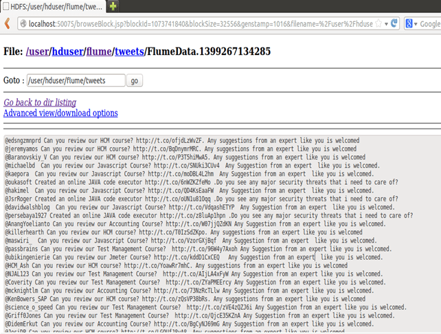 Streama Twitter-data med Flume