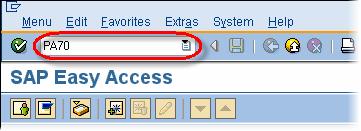 SAP Szybkie wejście