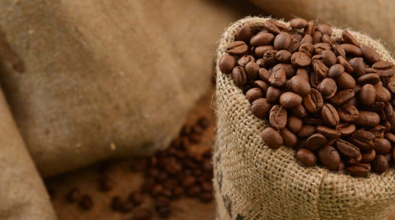 java module imports feature image