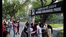 Delhi Zoo steps up measures to protect animals from heat Delhi Zoo steps up measures to protect animals from heat