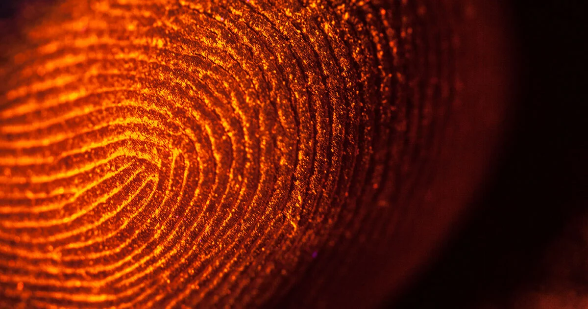 Canvas fingerprinting: the cookie successor Image: Canvas fingerprinting: the cookie successor