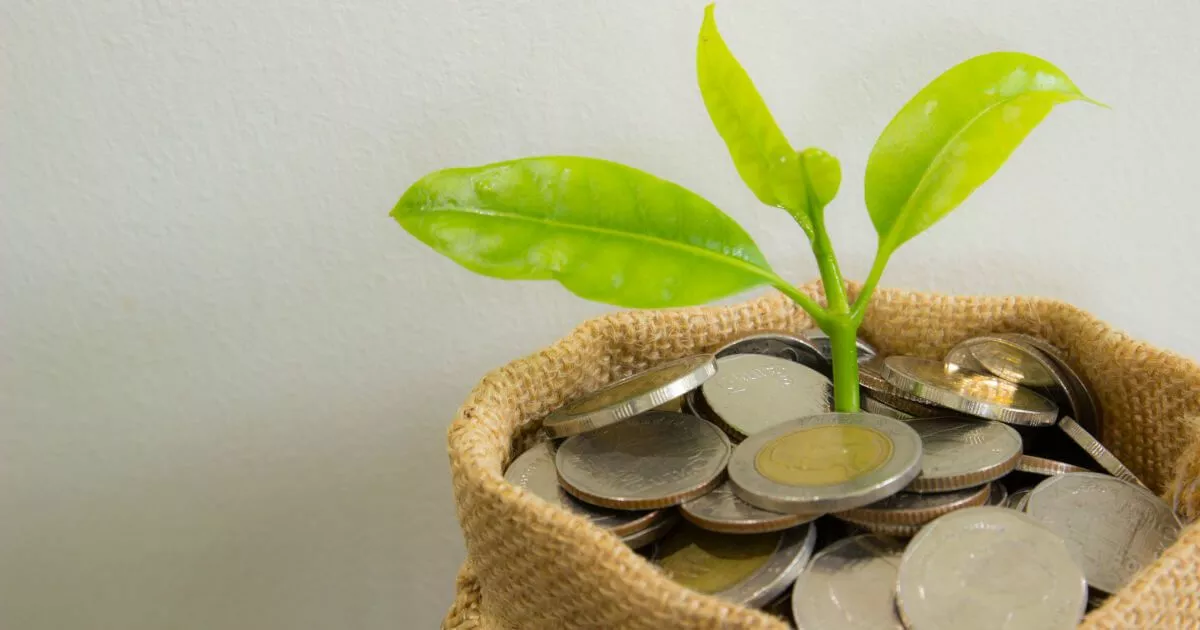 Artists and Patreon: The Path to Financial Independence? Image: Artists and Patreon: The Path to Financial Independence?