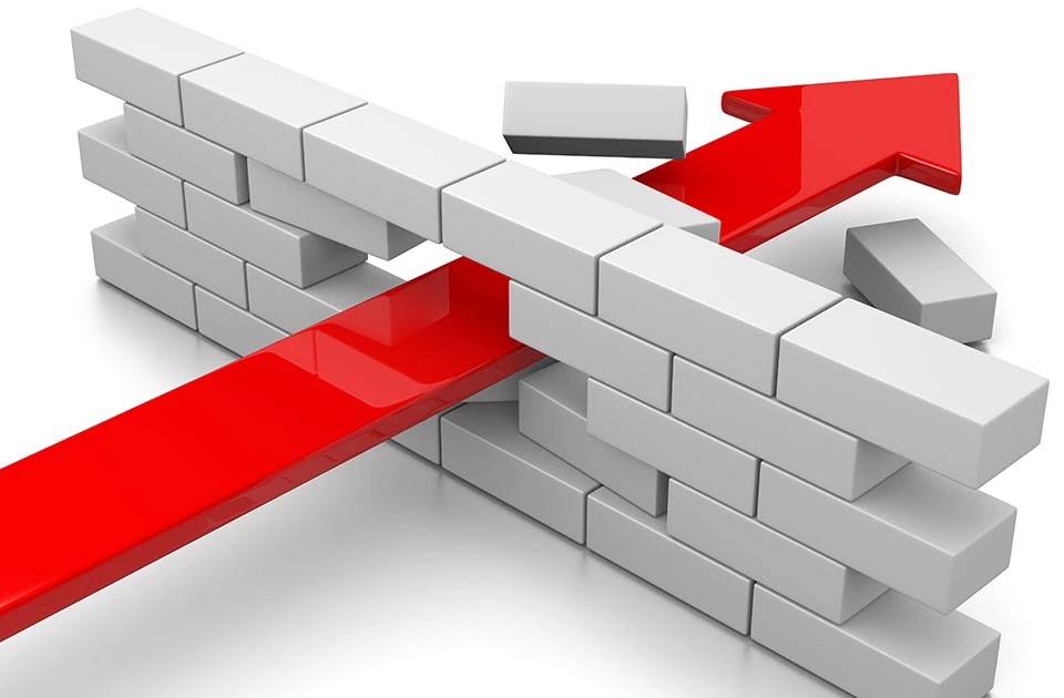 Gran diversidad de formatos y accesibilidad web Imagen: Gran diversidad de formatos y accesibilidad web