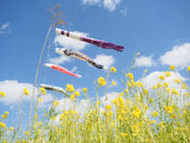 【5月1日~5月5日限定】GWのご予約はこちら☆新緑の眩しい季節にお出かけしよう◆個室食◆