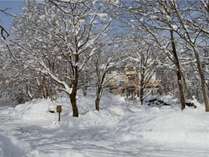 【じゃらんスペシャルウィーク】☆ 飛騨牛ステーキ贅沢グルメプラン♪【じゃらんスペシャルウィーク】