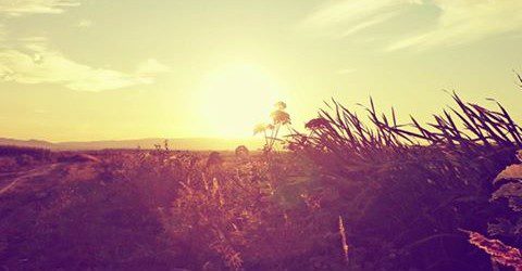 11988345_1163115143717367_8026094108247041532_n