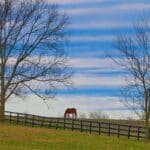 Americans Are Moving to Rural Alabama and Georgia