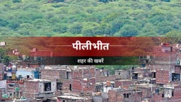 अचानक टूटकर गिरे विद्युत तार ने चार छुट्टा पशुओं की ली जान अचानक टूटकर गिरे विद्युत तार ने चार छुट्टा पशुओं की ली जान